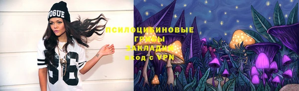 стафф Алексин