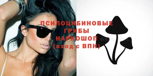 стафф Алексин