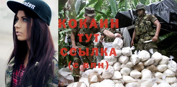 стафф Алексин