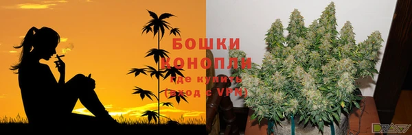 ешки Ачинск