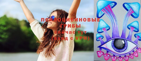 твердый Алексеевка