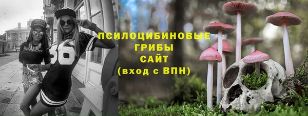 твердый Алексеевка
